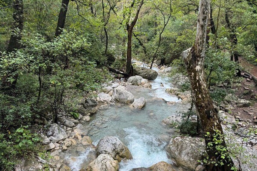 Private/Group Estanzuela Natural Park Hike 2