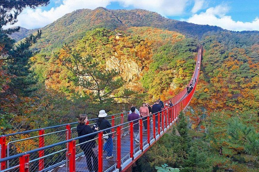DMZ Guided Tour & North Korean Defector/Suspension Bridge 2