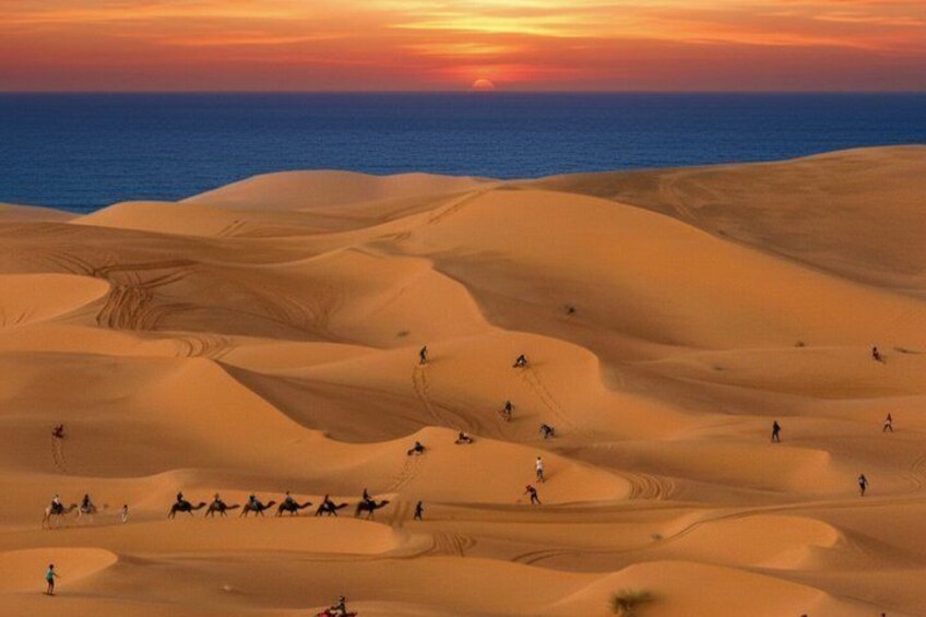 1-in-2 Desert Tour: Sandboarding & Camel Ride with BBQ 2