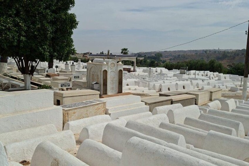 A cemetery with white headstones and a large tree. 4