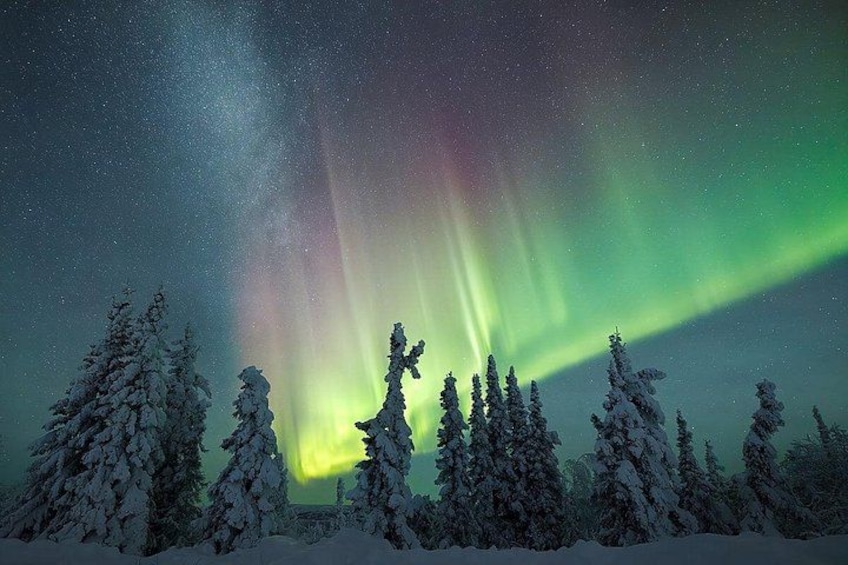 A night sky with the aurora borealis over a snowy forest. 2