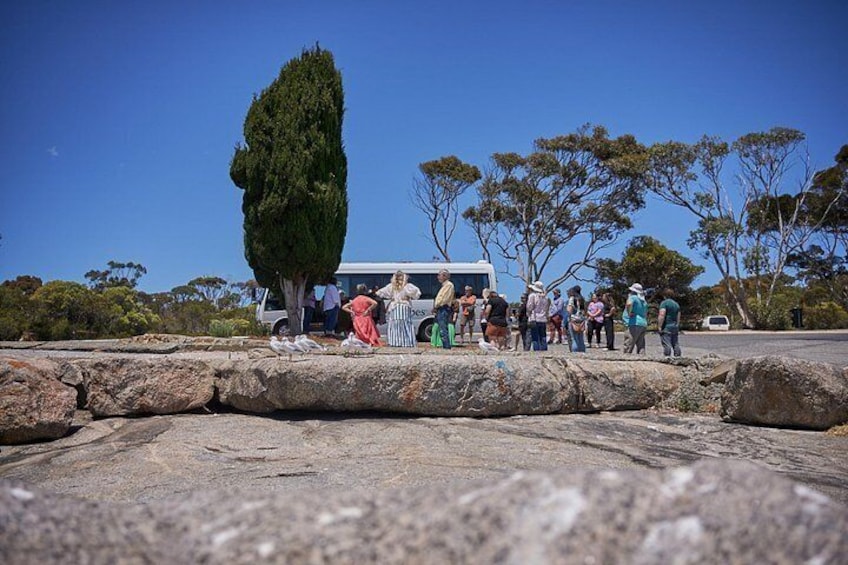 1 Day Aboriginal Cultural Tour of Port Lincoln 3