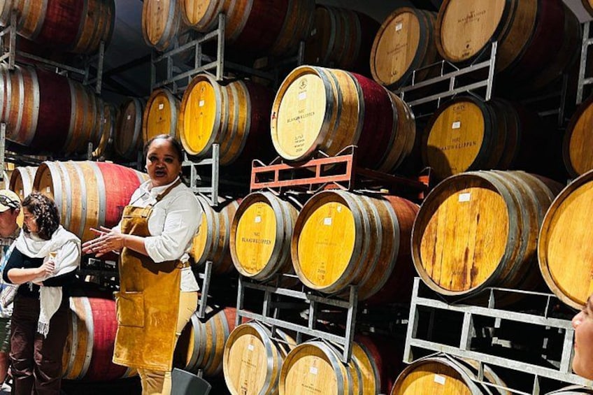 Behind the scenes of winemaking—expert insights in a cellar surrounded by oak barrels 4