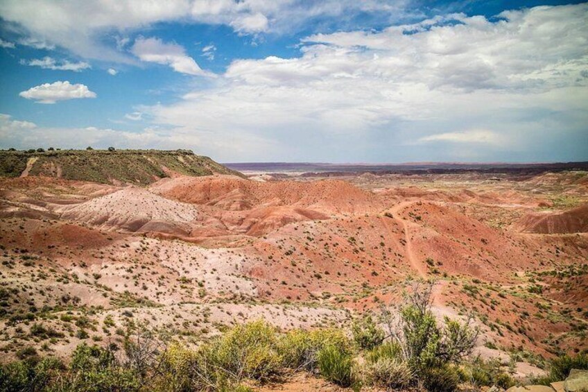 Paisaje desértico con colinas onduladas y vegetación escasa. 4