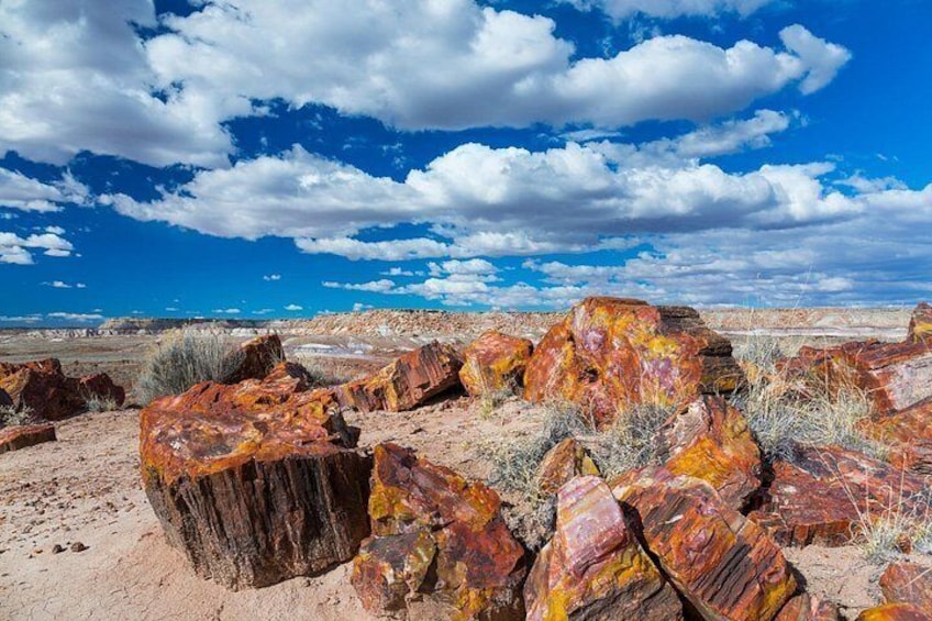 Paisaje desértico con grandes formaciones rocosas de color marrón rojizo y vegetación escasa bajo un cielo azul con nubes dispersas. 5