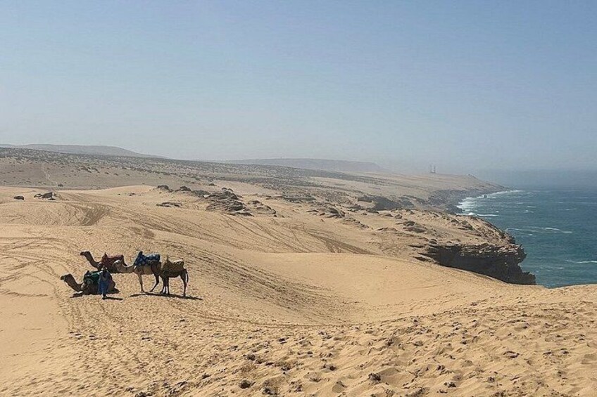 Paradise Valley & Desert Sand Dunes with Camel Ride/lunch 3