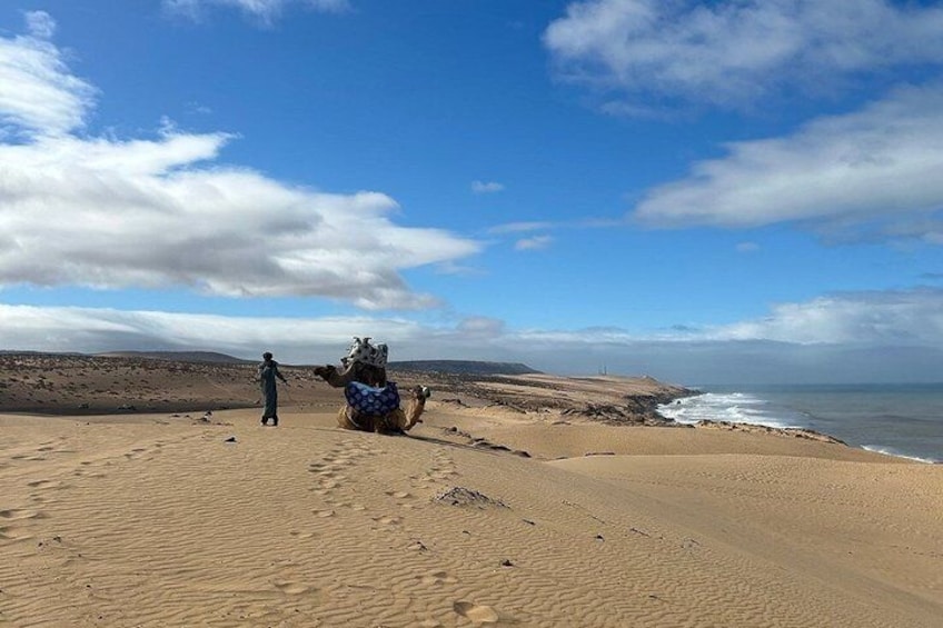 Paradise Valley & Desert Sand Dunes with Camel Ride/lunch 3