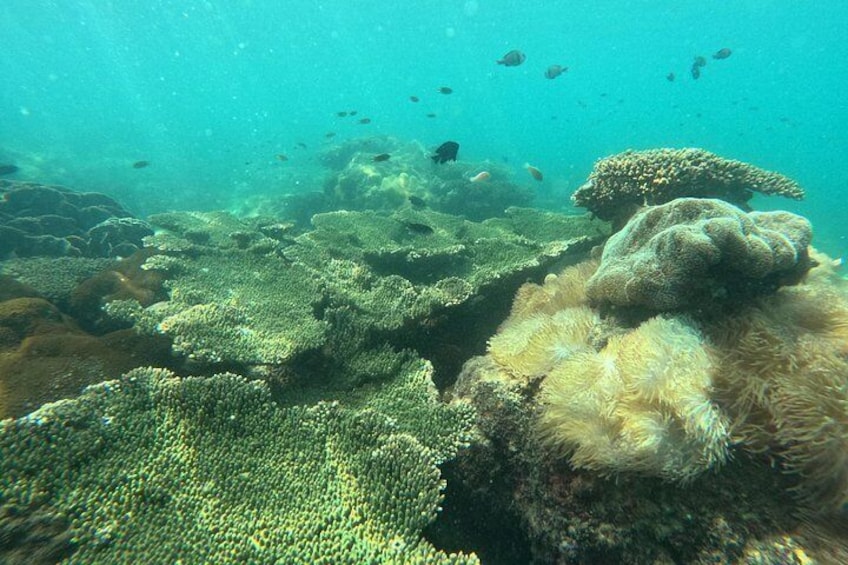 Phu Quoc: Snorkeling and Island Hopping By Speedboat with Lunch 2