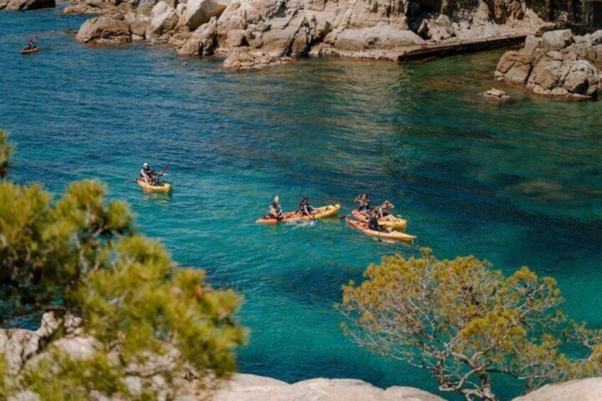 Awaken the Adventure! Kayak at 8am 1