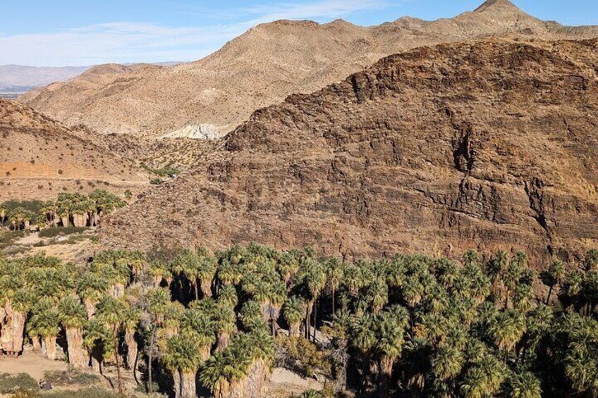 A desert landscape with rocky mountains and clusters of palm trees. 4