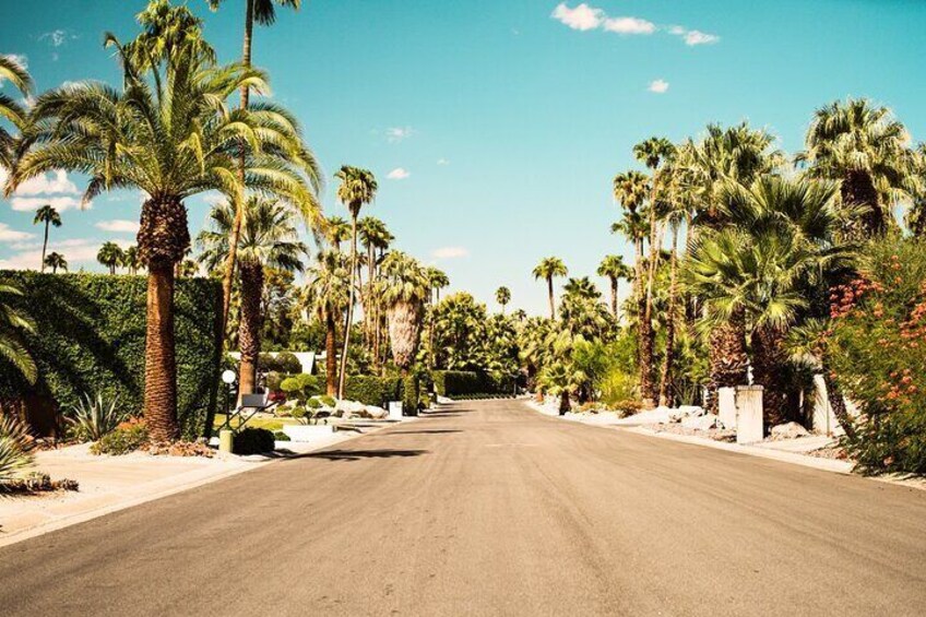 A road lined with palm trees and a clear blue sky. 5
