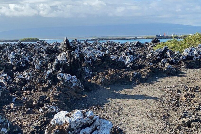 A rocky shoreline with scattered white foam, a clear sky, and distant ships on the horizon. 4