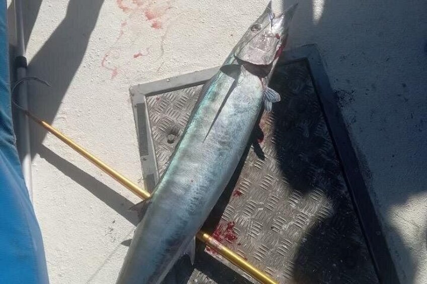 3-Hour Fishing Trip in Waikiki 3