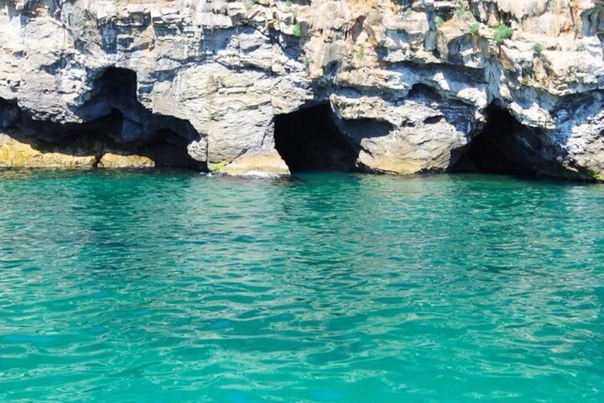 Visit to Palma marine reserve cliff caves and snorkeling 5