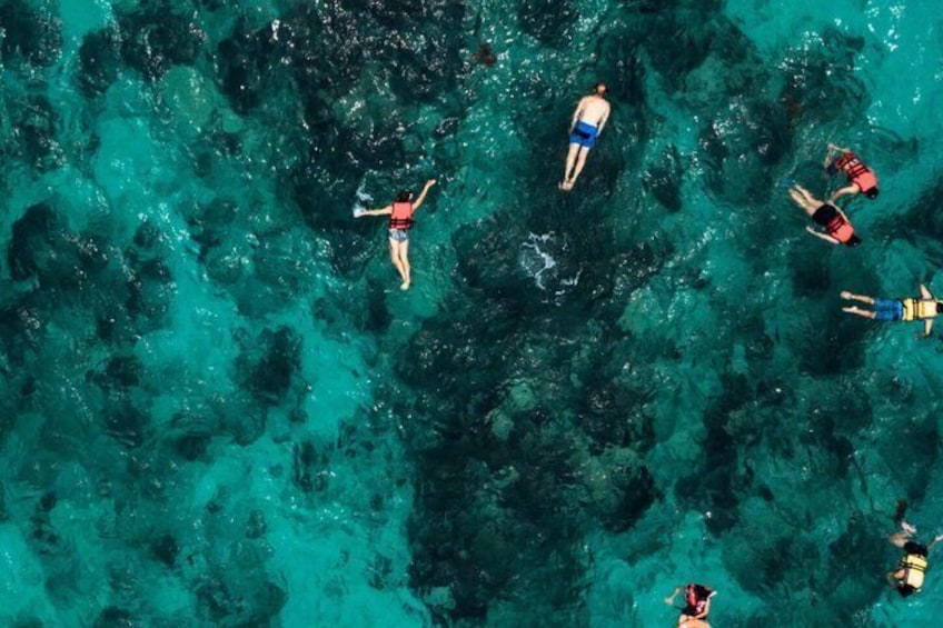 Visit to Palma marine reserve cliff caves and snorkeling 2