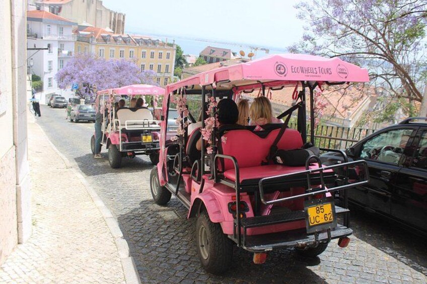 A pink horse-drawn carriage on a cobblestone street with buildings and a tree in the background. 5
