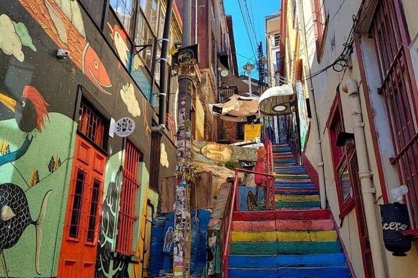 Transfer in/out cruise to/from Santiago plus tour Valparaiso 2