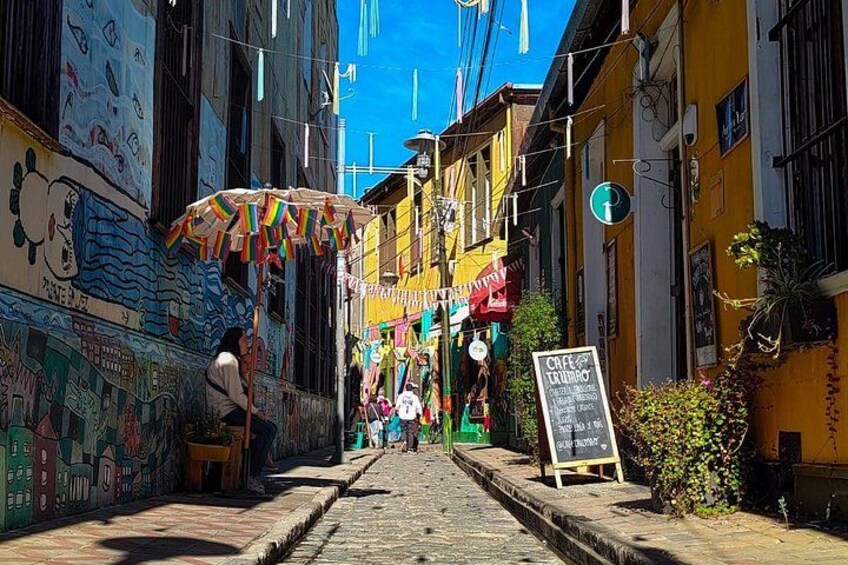Transfer in/out cruise to/from Santiago plus tour Valparaiso 4