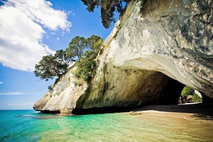 Formación rocosa natural con la entrada a una cueva, agua turquesa cristalina y un árbol en la cima. 2