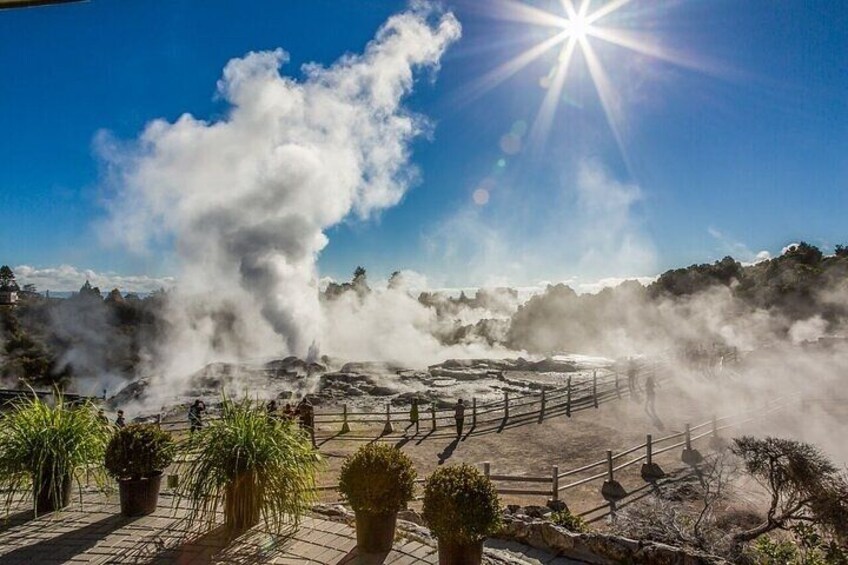 A geothermal area with steam vents, a wooden fence, and potted plants. 1