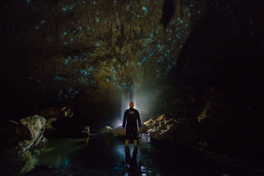 Une personne se tient dans une grotte, et le plafond est illuminé par des organismes bioluminescents. 4