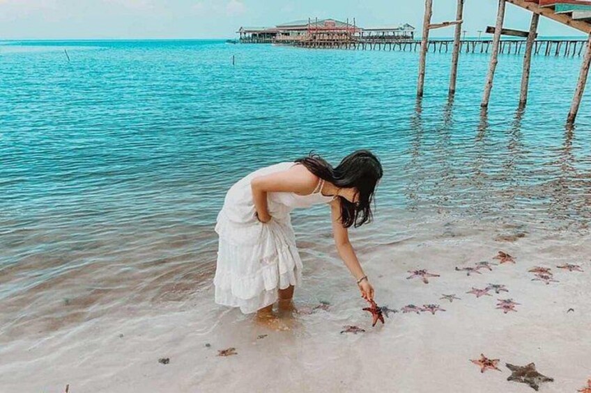 Spot colourful starfishes at Rach Vem Beach 1