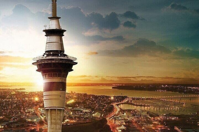 Auckland City Highlights Private Tour 1