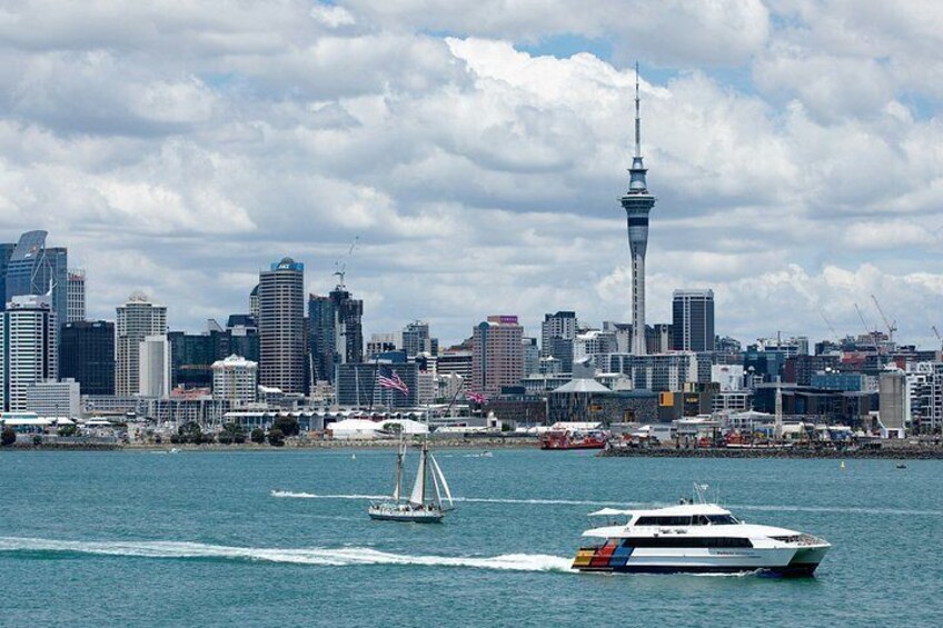 Auckland City Highlights Private Tour 5