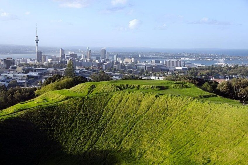 Auckland City Highlights Private Tour 2