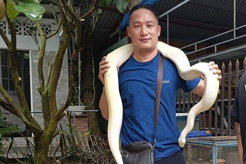 A person holding a large snake. 5