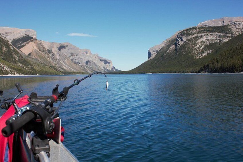 A fishing rod on a boat, calm lake, and mountains in the background. 4