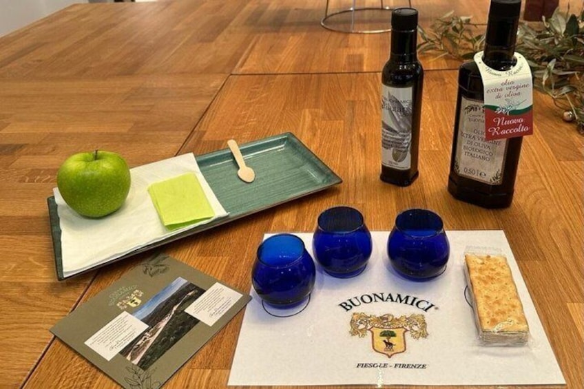 Olio evo bronze experience at Frantoio Buonamici in Fiesole 3
