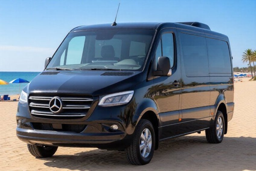 A black Mercedes van parked on a sandy beach with palm trees and umbrellas in the background. 2