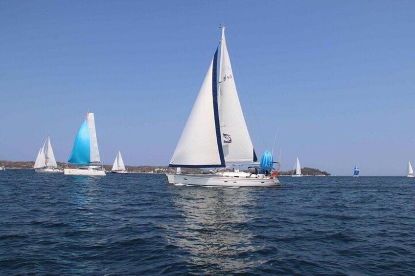 A group of sailboats on a calm sea with clear skies. 2