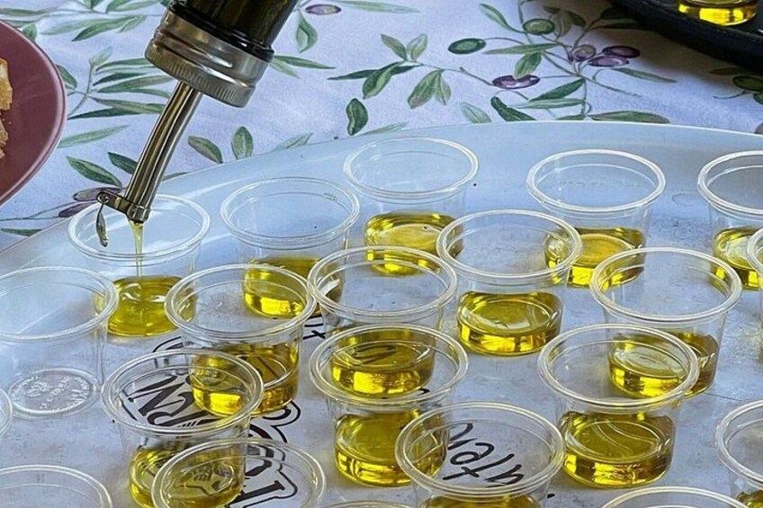 Olio Evo Gold Experience at Frantoio Buonamici in Fiesole 2