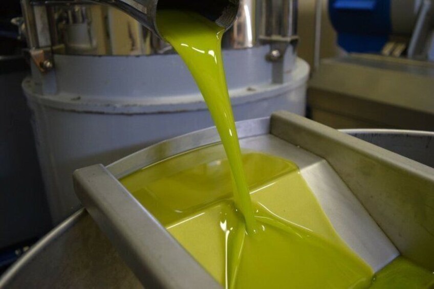 Olio Evo Gold Experience at Frantoio Buonamici in Fiesole 3