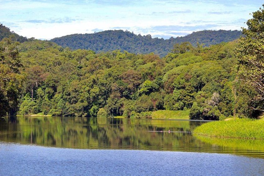 Barron River in Kuranda 2