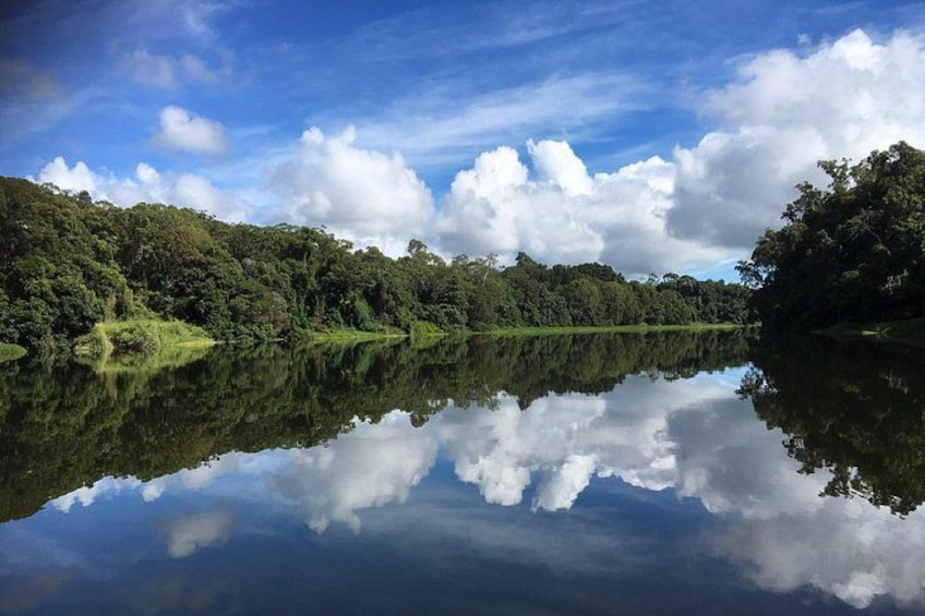 Barron River in Kuranda 2