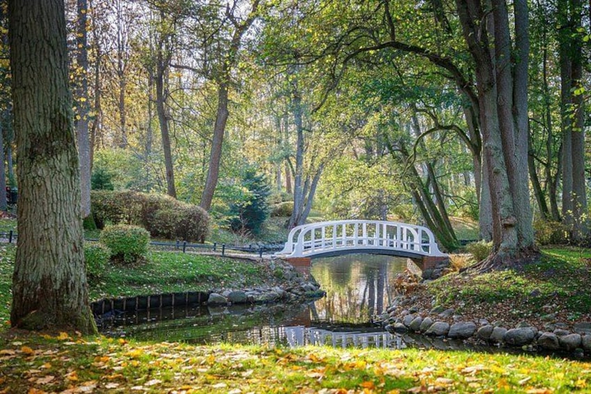 A white bridge over a calm pond surrounded by trees and greenery. 2