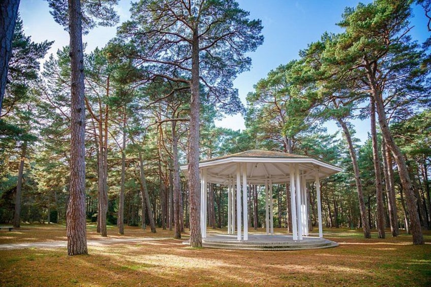 A gazebo in a forest with tall pine trees. 4