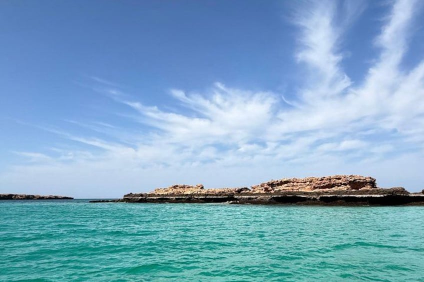 Snorkeling in Daymaniat Island 2