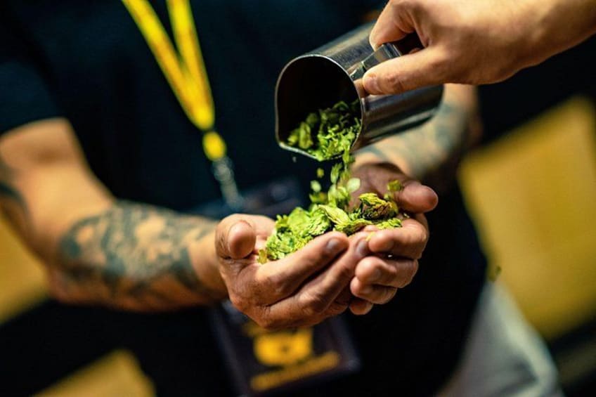 Hands holding a small metal container pouring green substance onto palms. 2