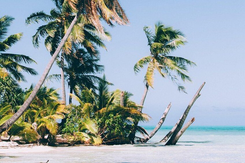 Lost beach 2