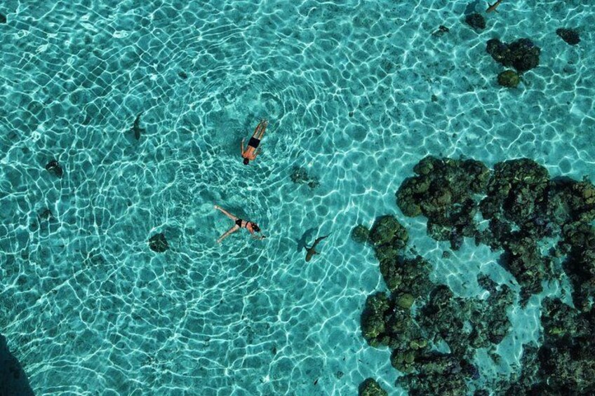 Magic Snorkeling 4