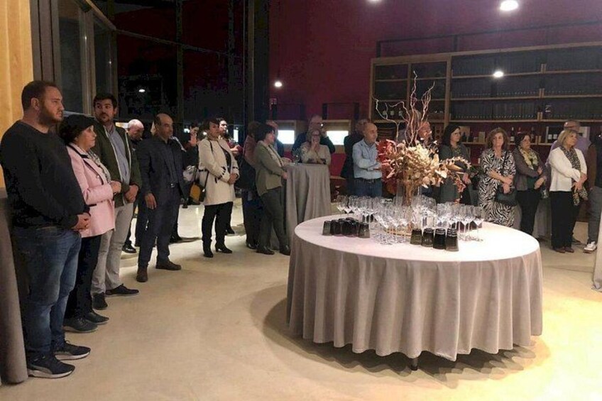 Valencia Vineyard Tour with Wine Tasting, Cava and Snacks 2