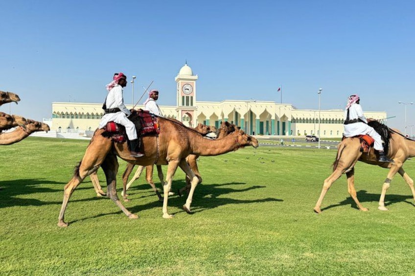 Private Doha City Tour With Desert Safari(Combo) 5