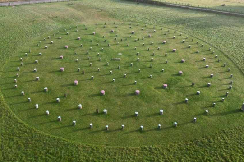 A circular pattern of sheep on a grassy field. 2