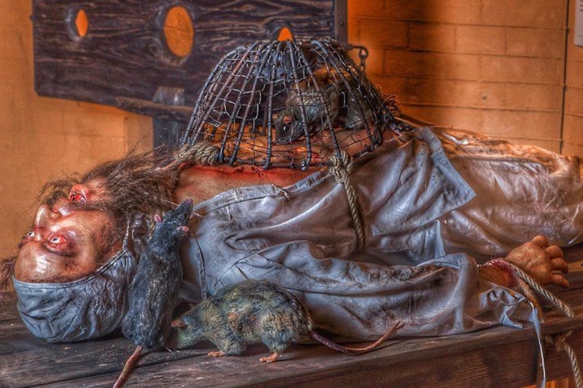 Medieval Torture Museum Ticket with Audio Guide and Ghost Hunting 1