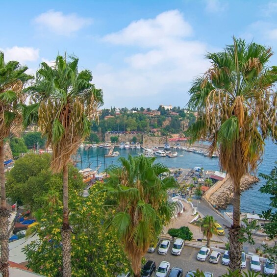 A coastal town with a marina, parked cars, and palm trees. 1