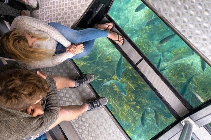 People seated on a platform with an aquarium window, observing fish. 1